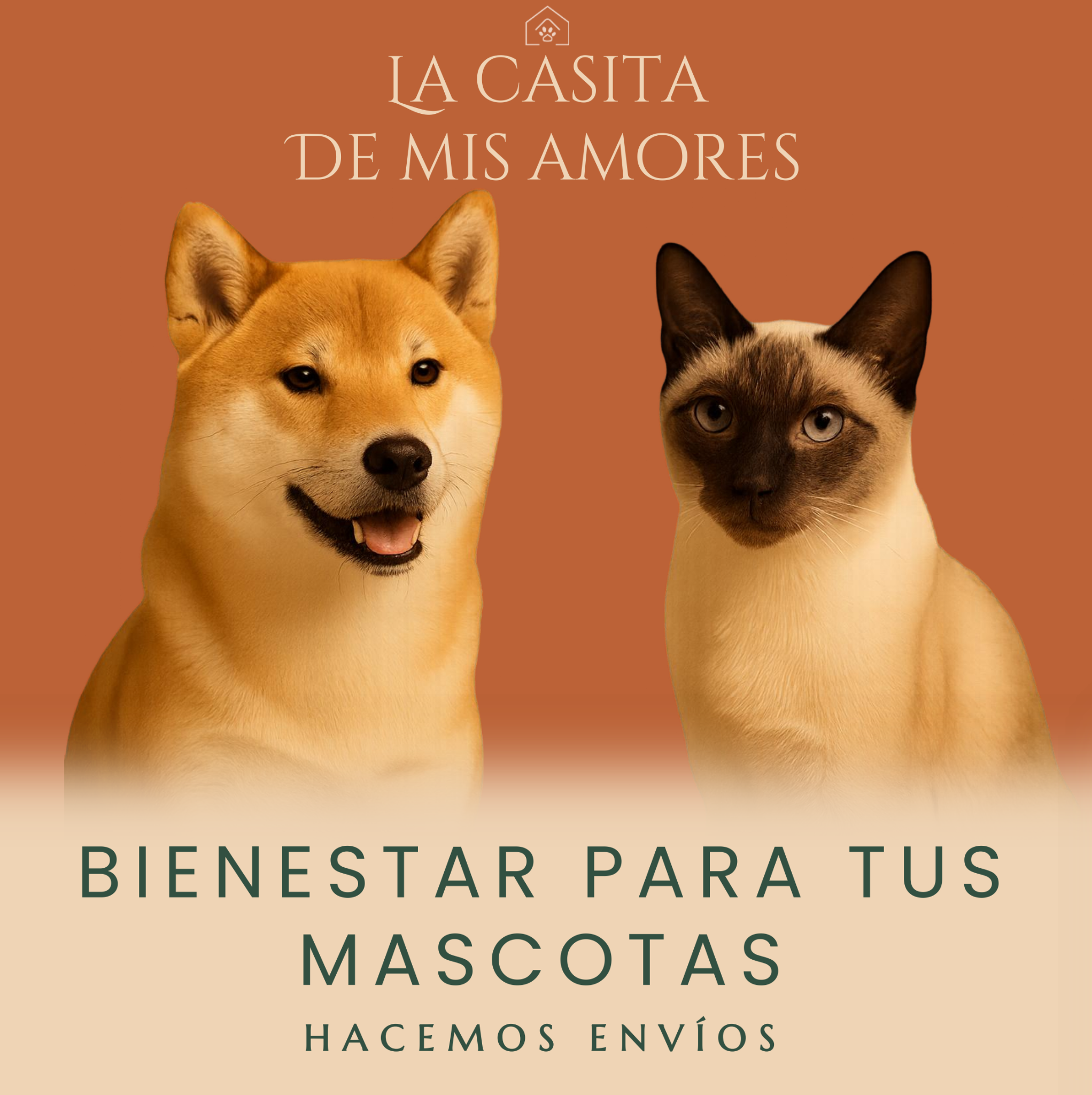 Accesorios y cuidado